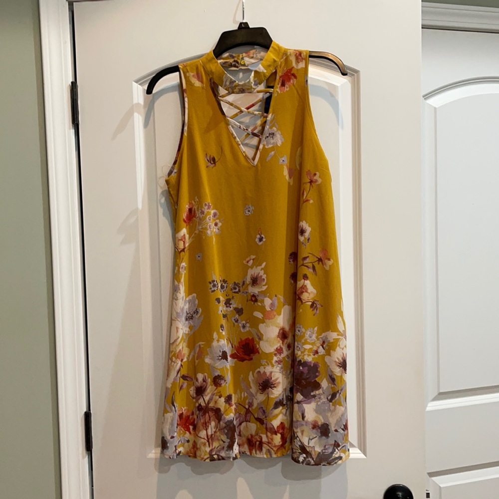 Francesca’s (blue rain) dress